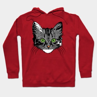 Green Eyed Grey Kitten Hoodie